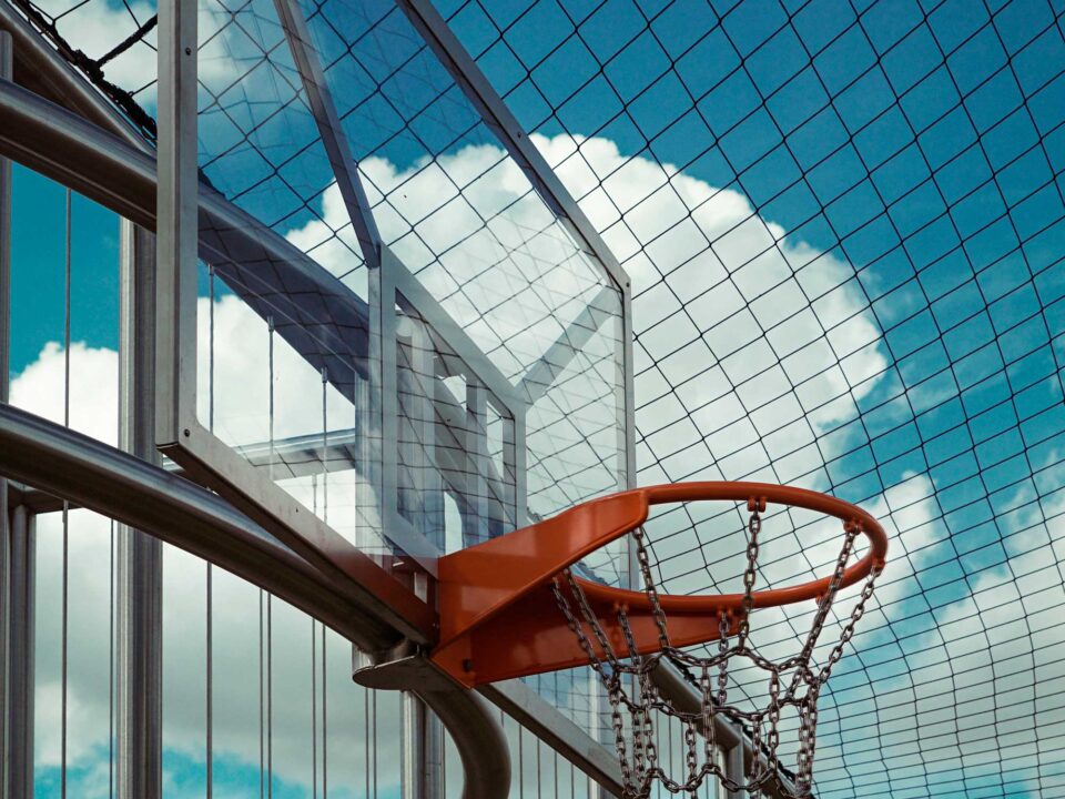 Nisserwaard_basket-PC_DSC09467